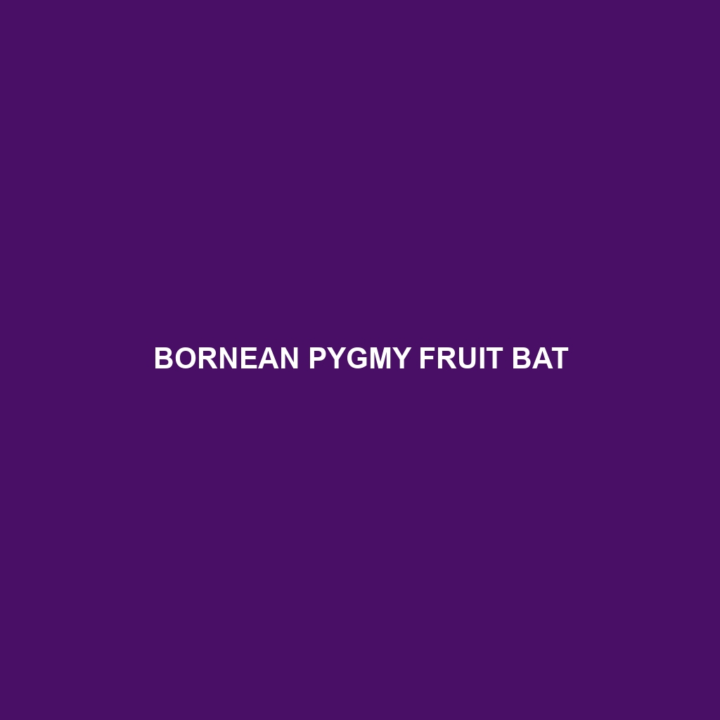 Bornean Pygmy Fruit Bat