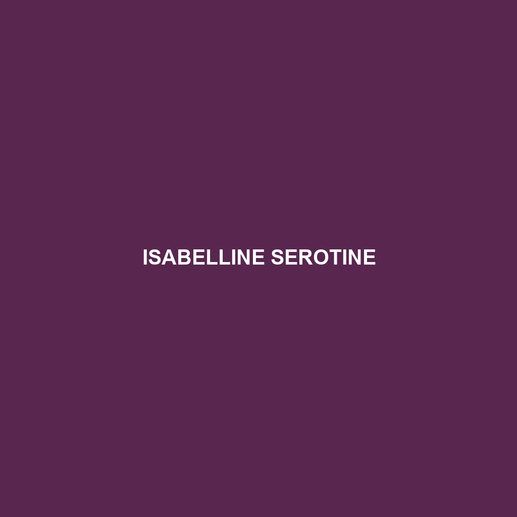 Isabelline Serotine