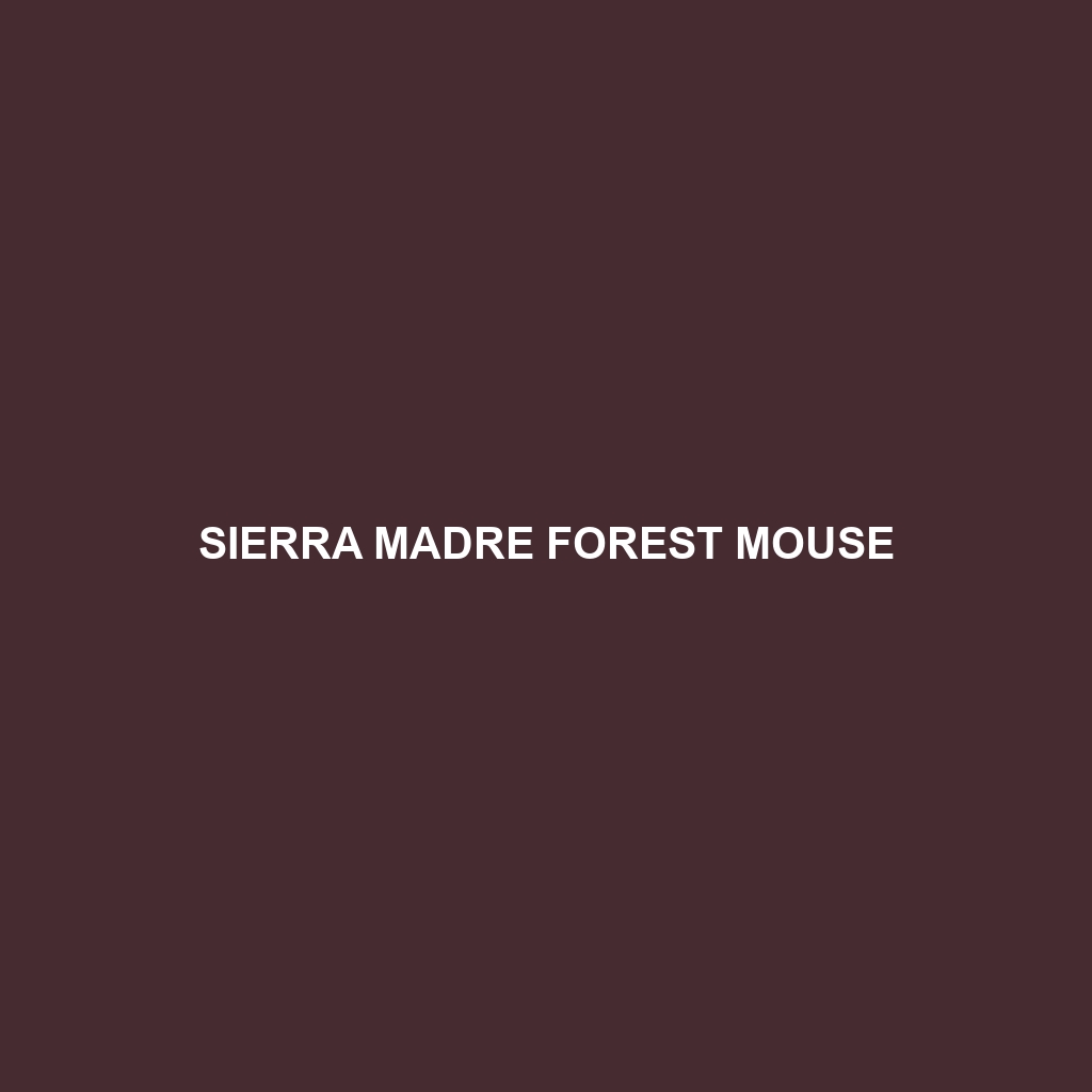 Sierra Madre Forest Mouse