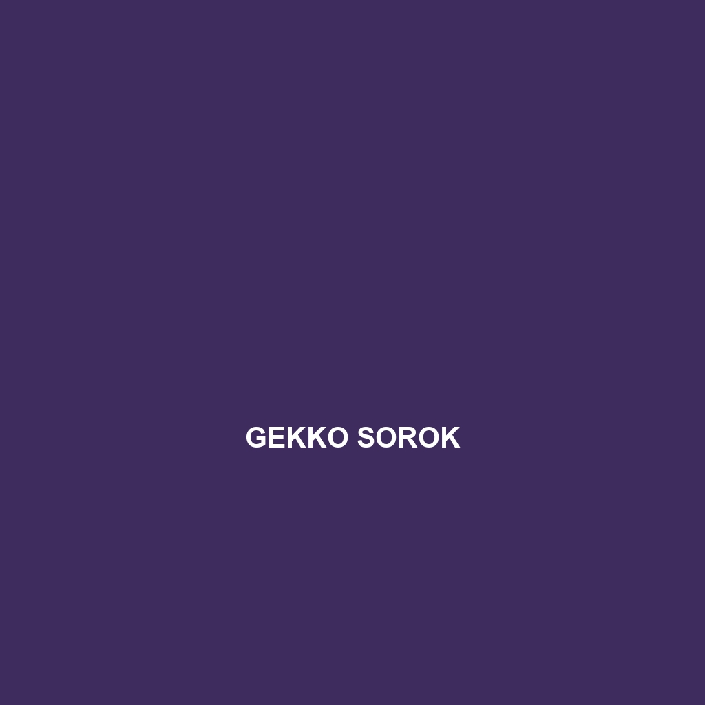 Gekko sorok