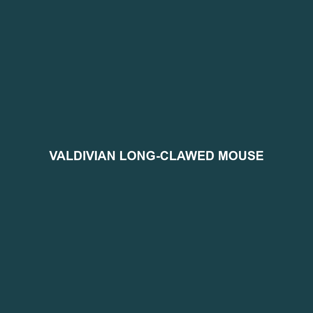 Valdivian Long-clawed Mouse