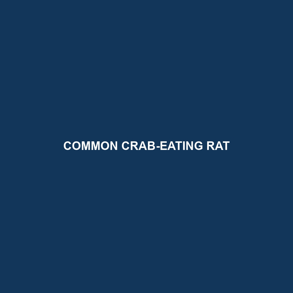 Common Crab-eating Rat