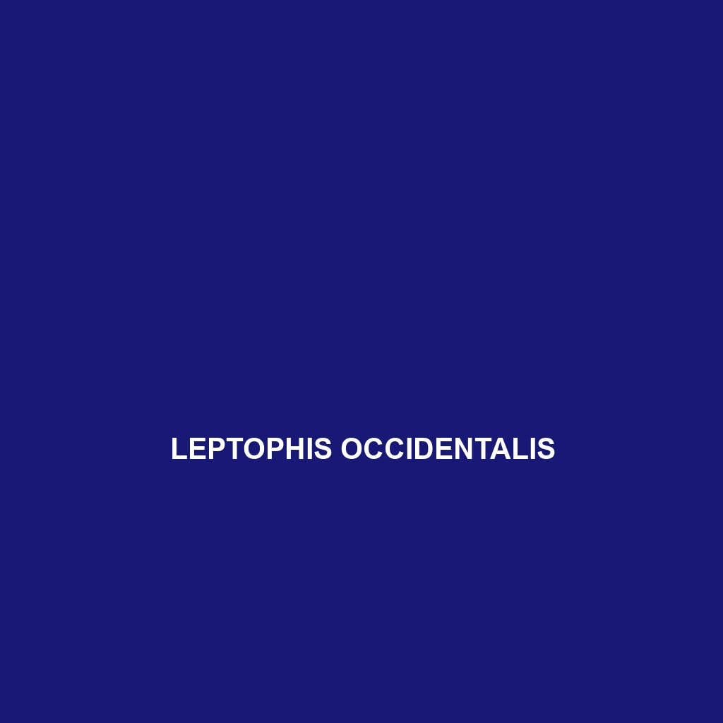 Leptophis occidentalis