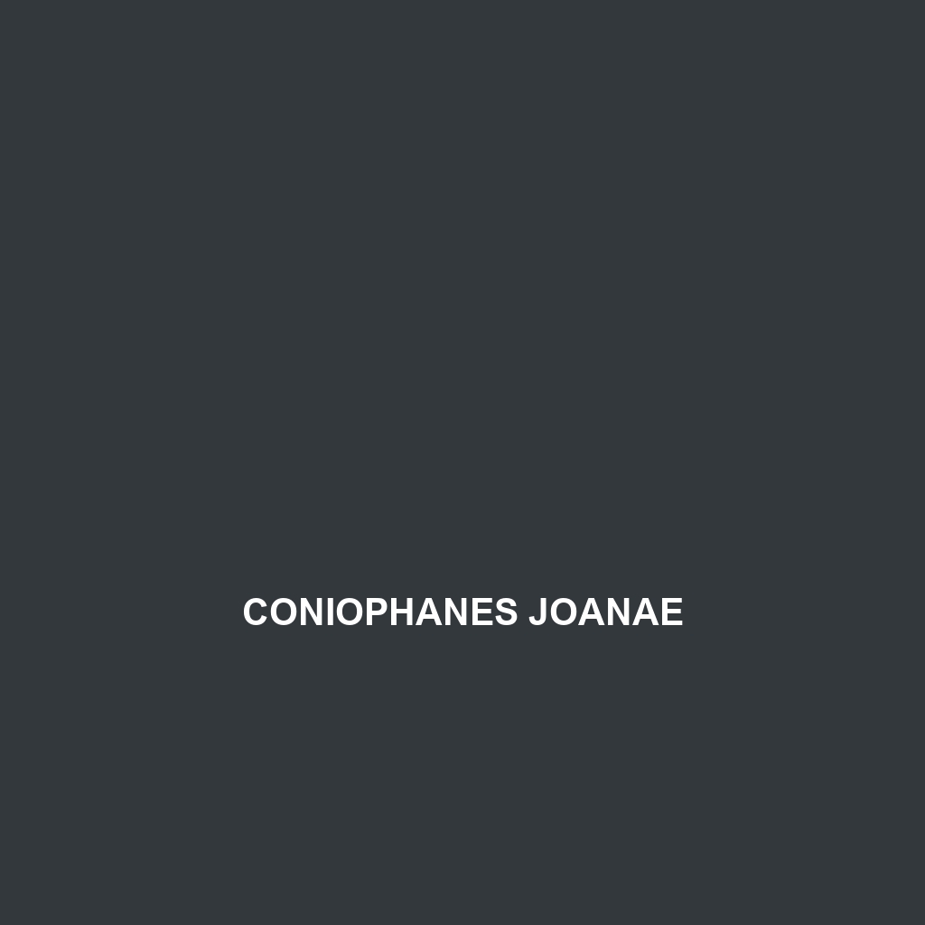 Coniophanes joanae