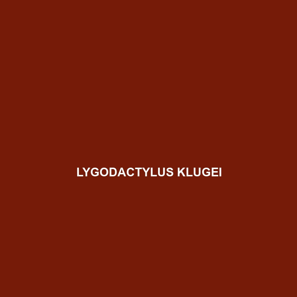 Lygodactylus klugei