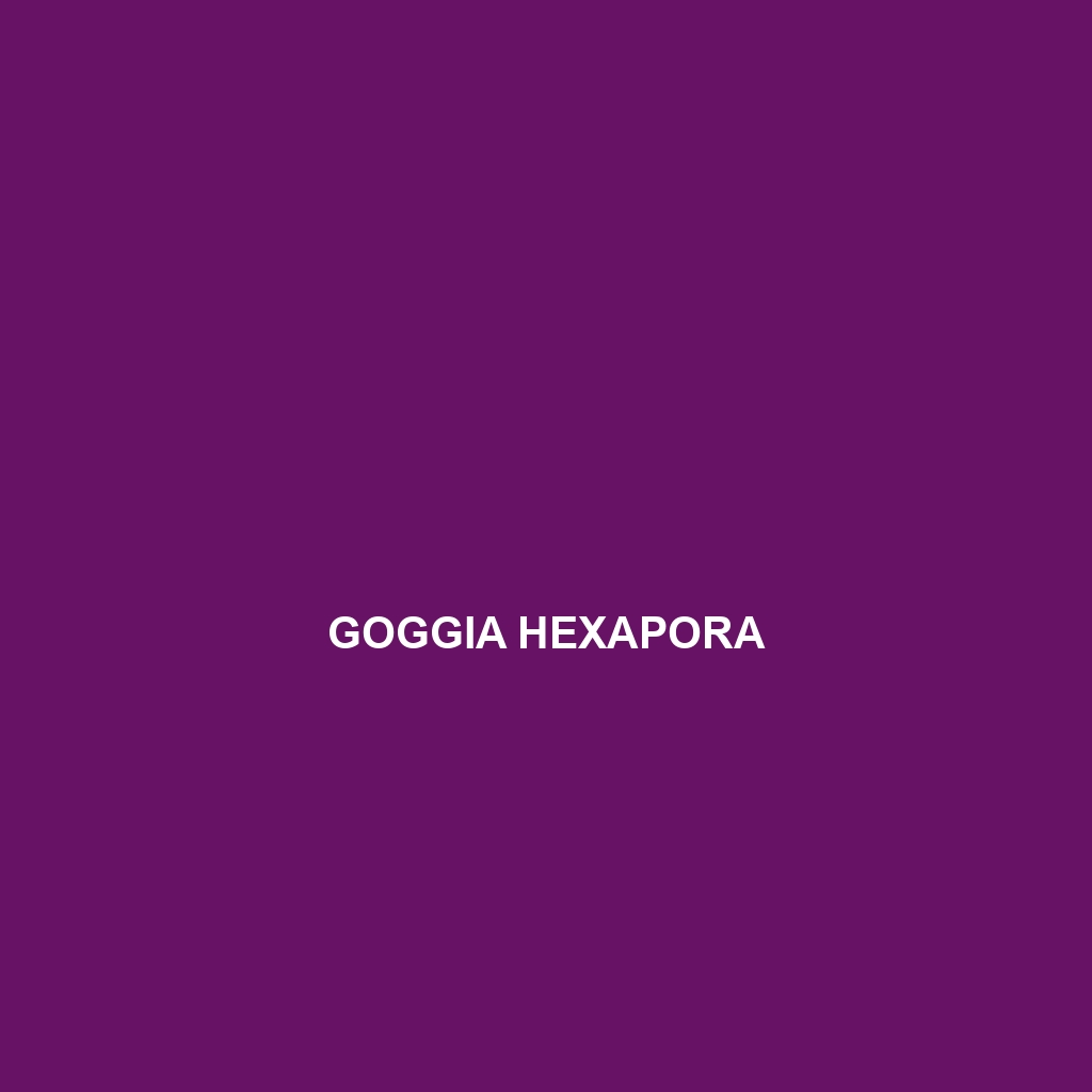 Goggia hexapora