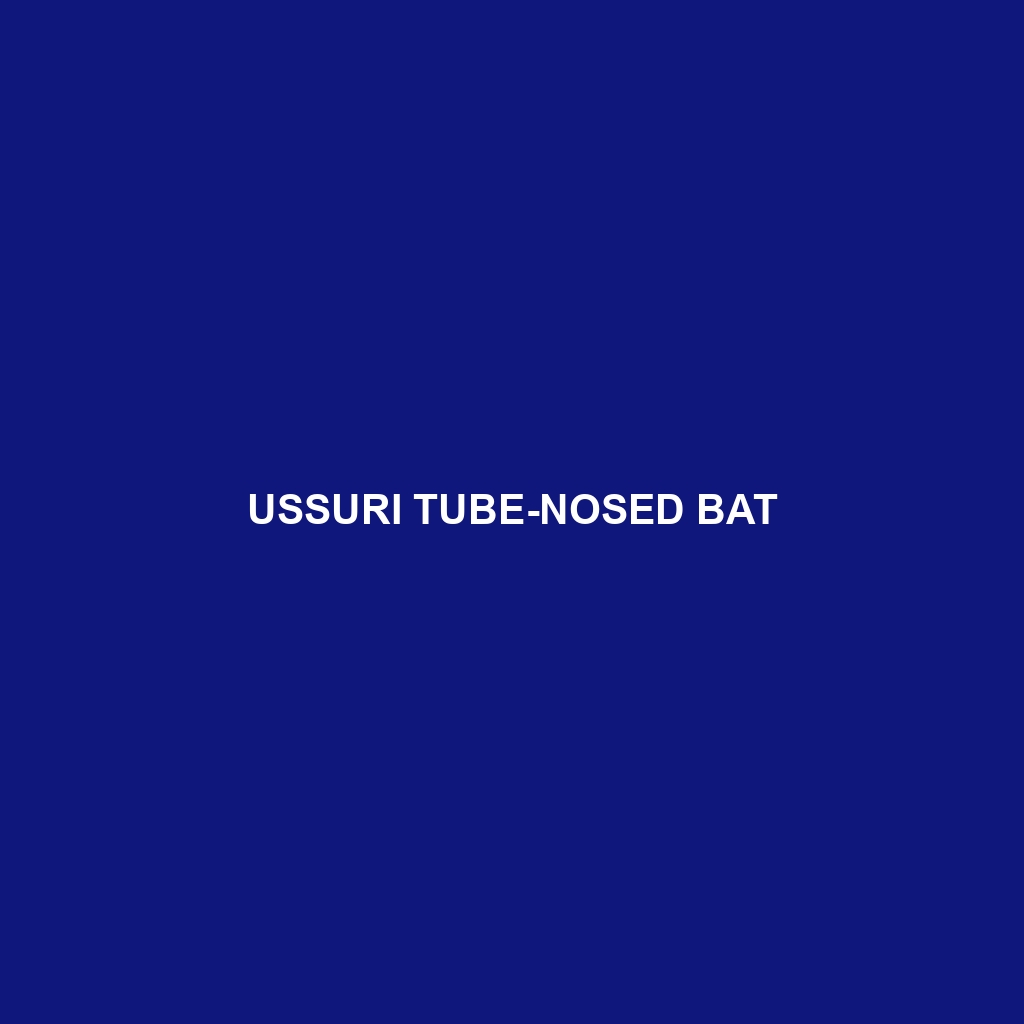 Ussuri Tube-nosed Bat