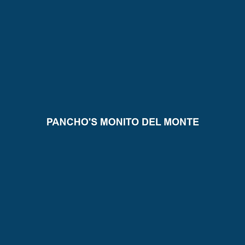 Pancho's Monito del Monte