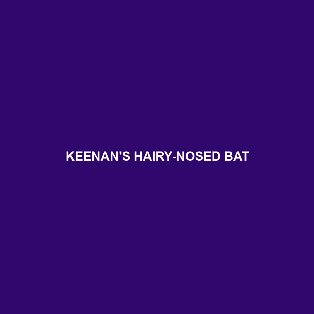 Keenan's Hairy-nosed Bat