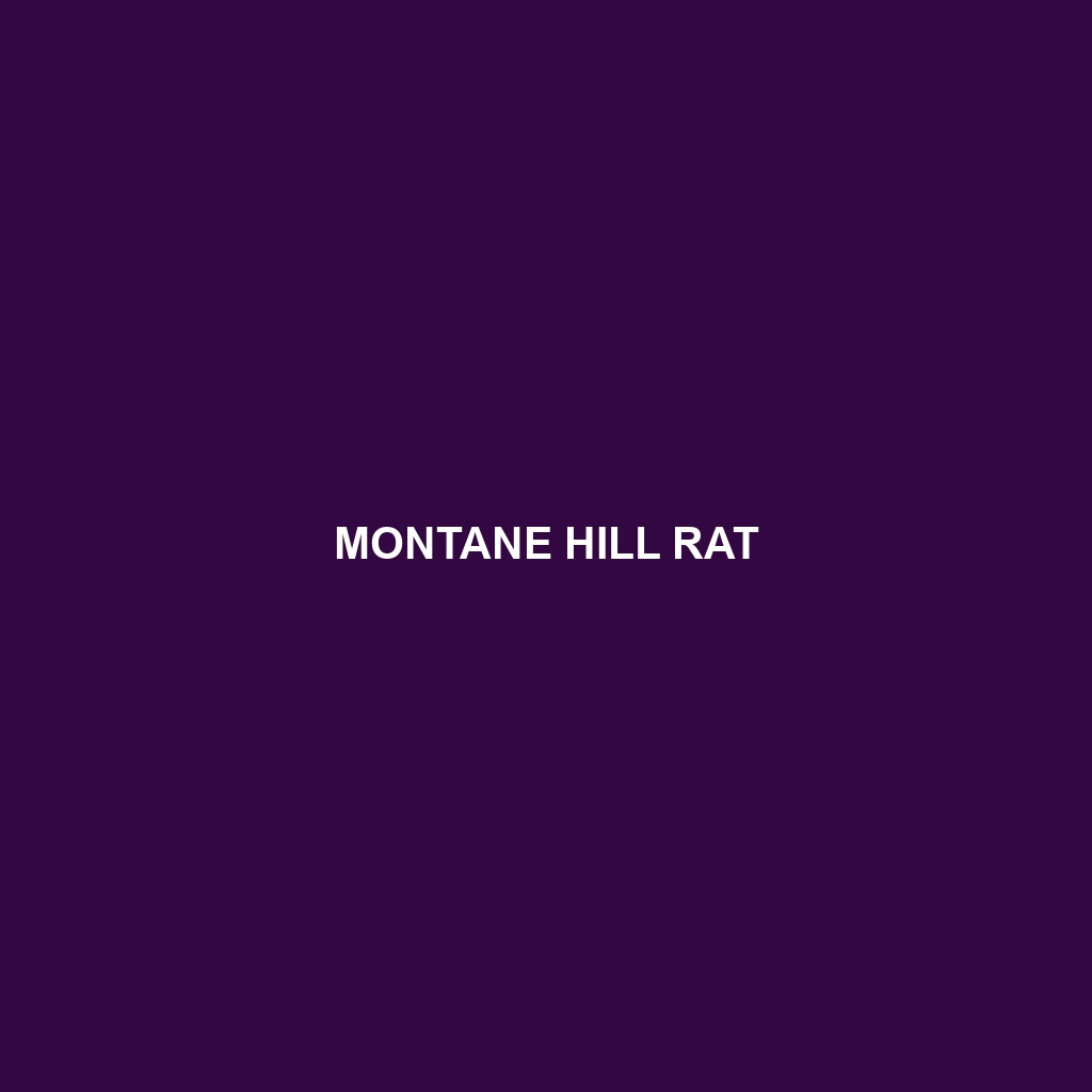 Tambusisi Hill Rat