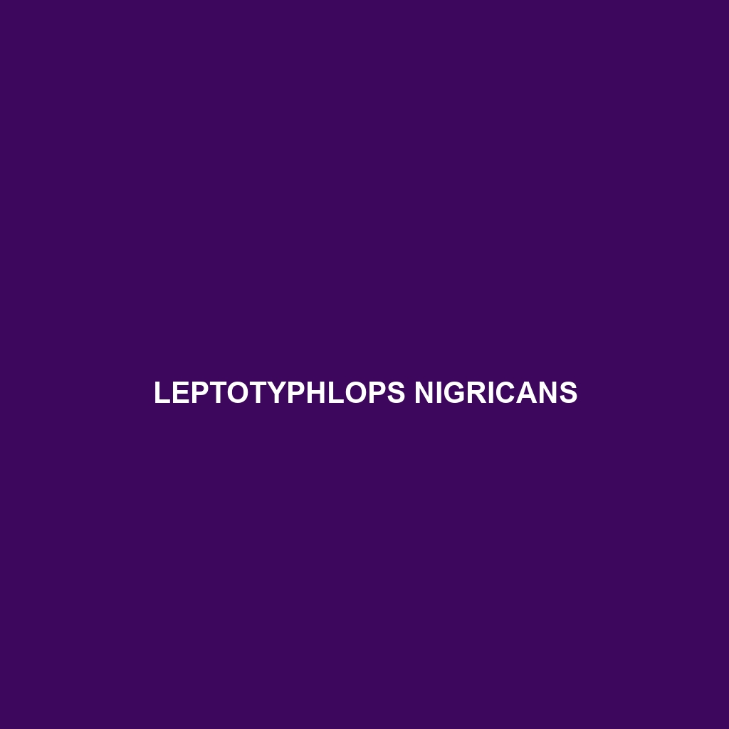 Leptotyphlops nigricans