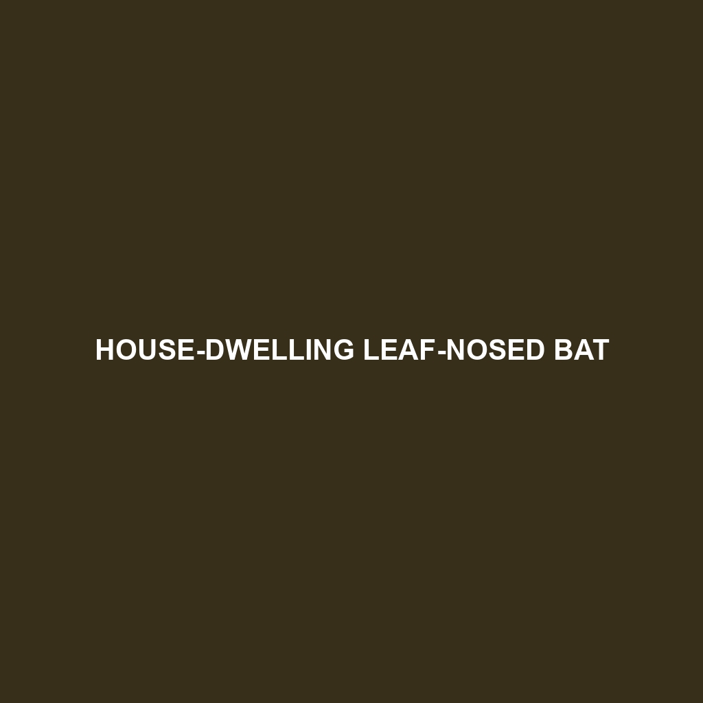 House-dwelling Leaf-nosed Bat