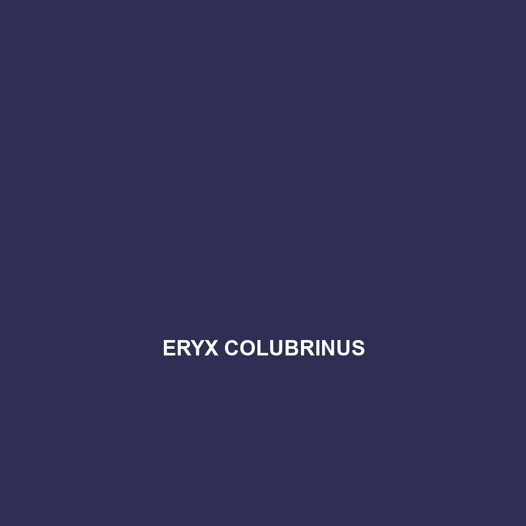 Eryx colubrinus