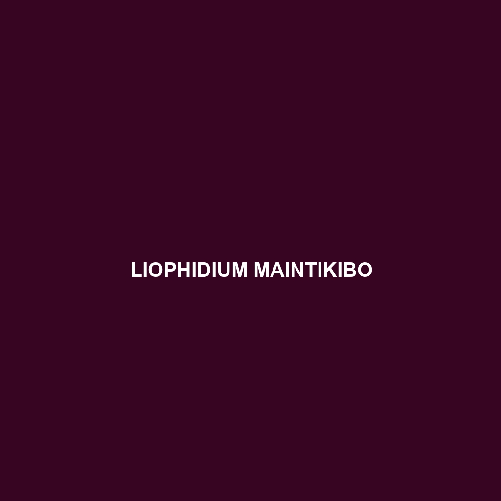 Liophidium maintikibo