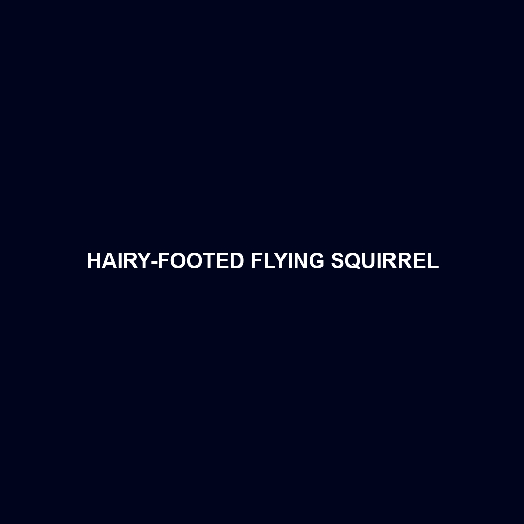 Hairy-footed Flying Squirrel