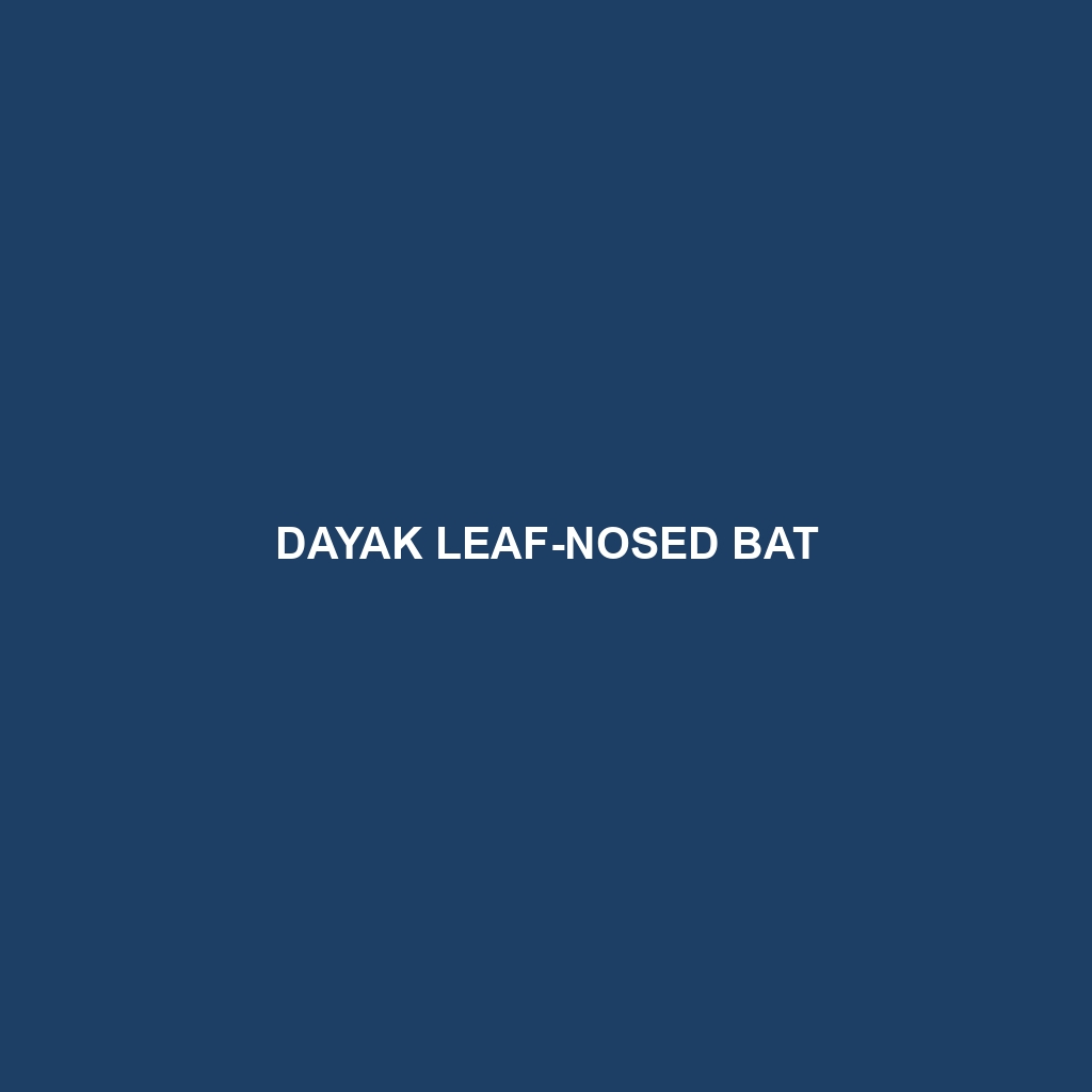 Dayak Leaf-nosed Bat