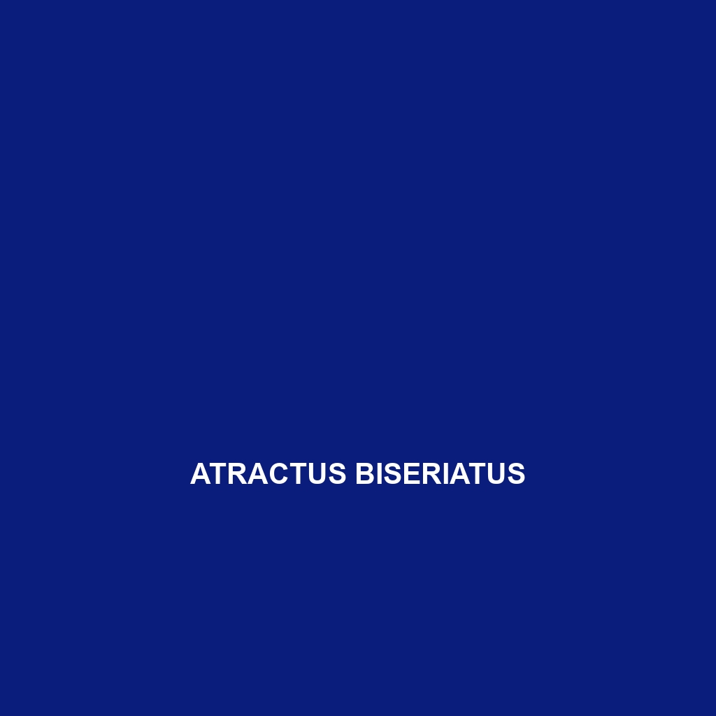 Atractus biseriatus