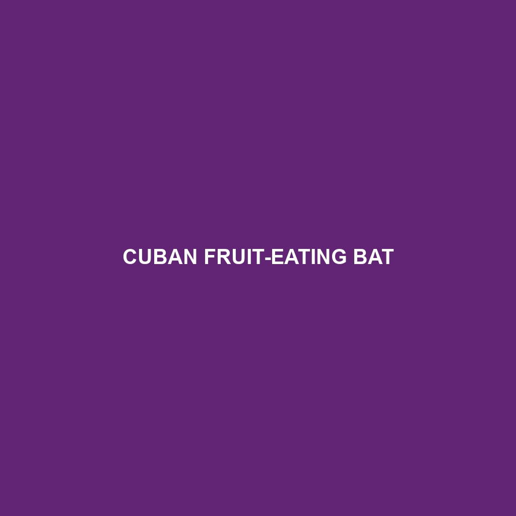 Cuban Fruit-eating Bat