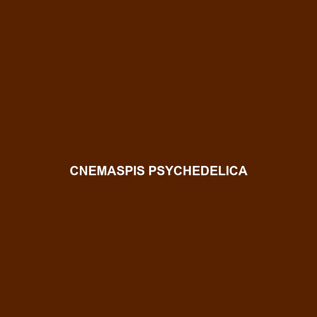 Cnemaspis psychedelica