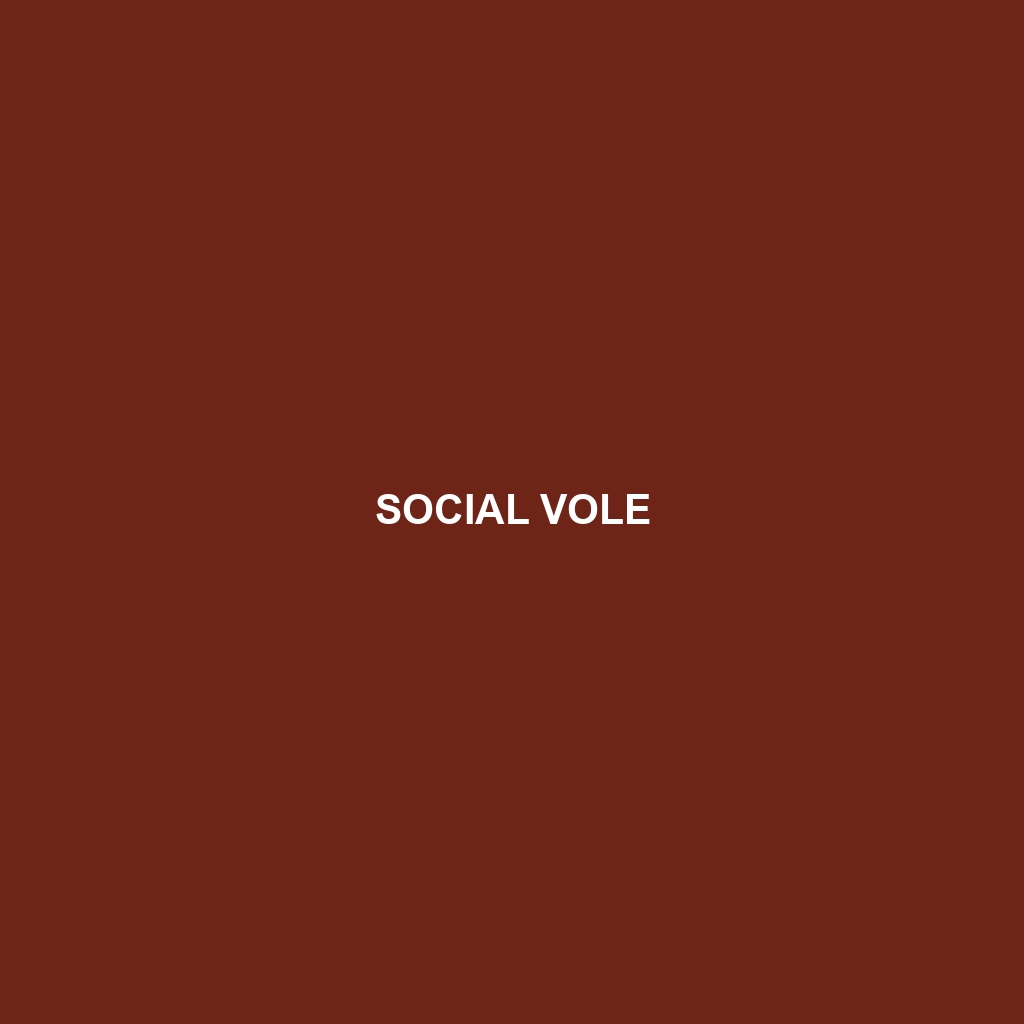 Social Vole