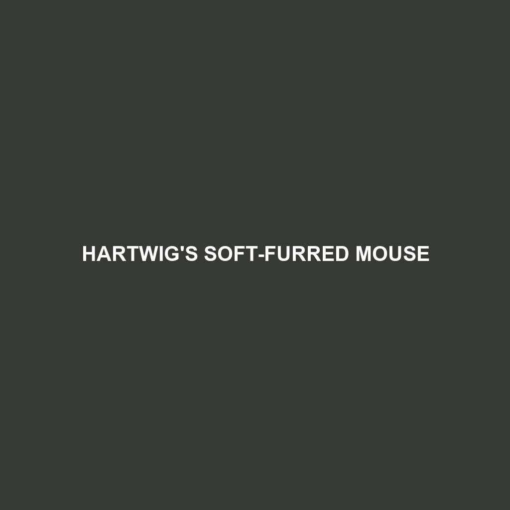 Hartwig's Soft-furred Mouse