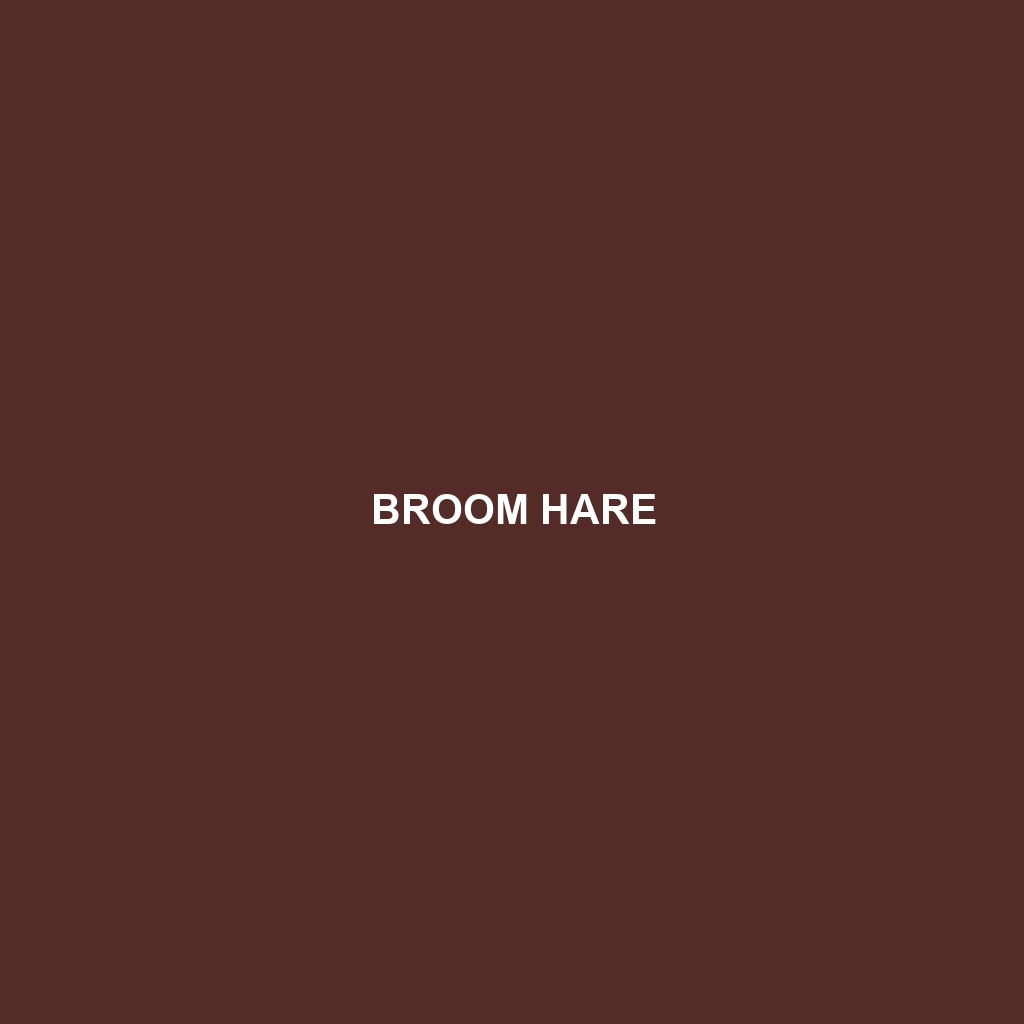 Broom Hare