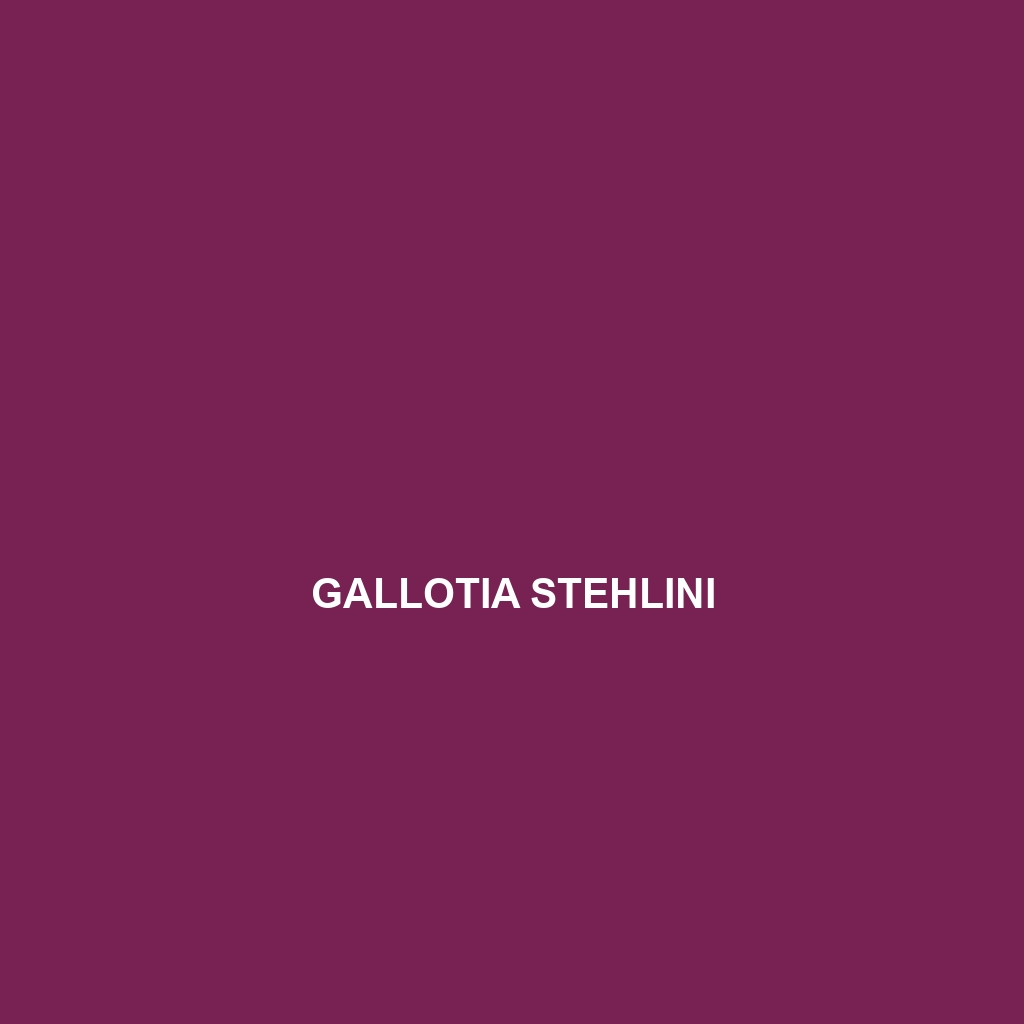 Gallotia stehlini