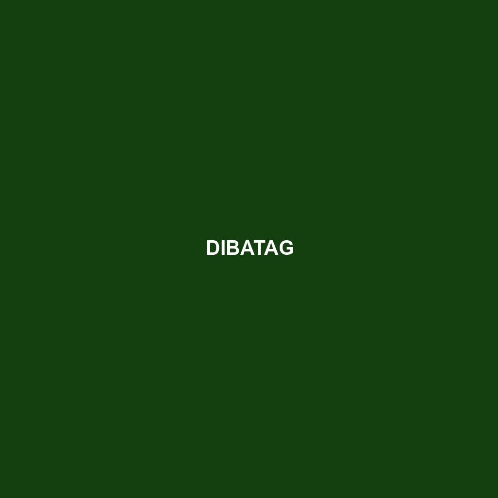 Dibatag