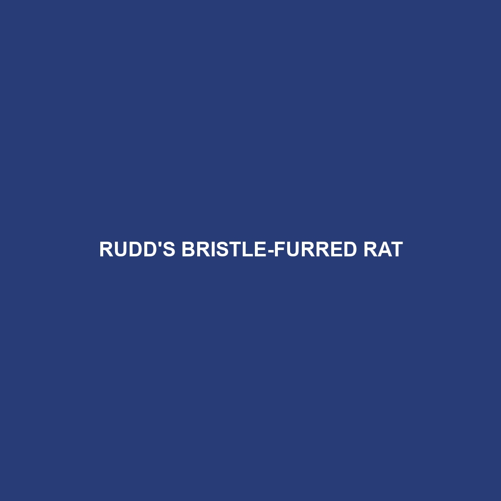 Rudd's Bristle-furred Rat