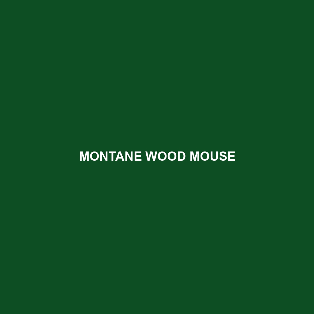 Montane Wood Mouse