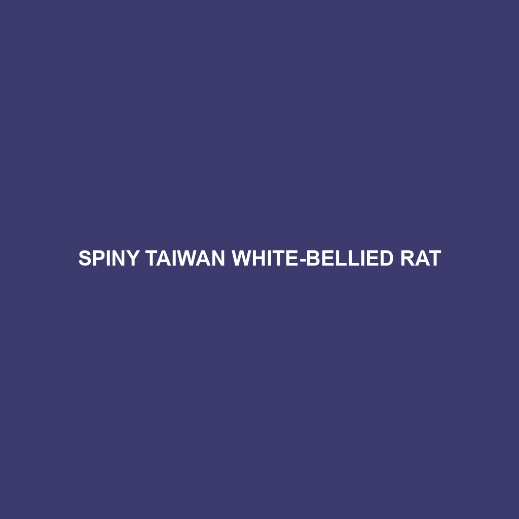 Spiny Taiwan White-bellied Rat