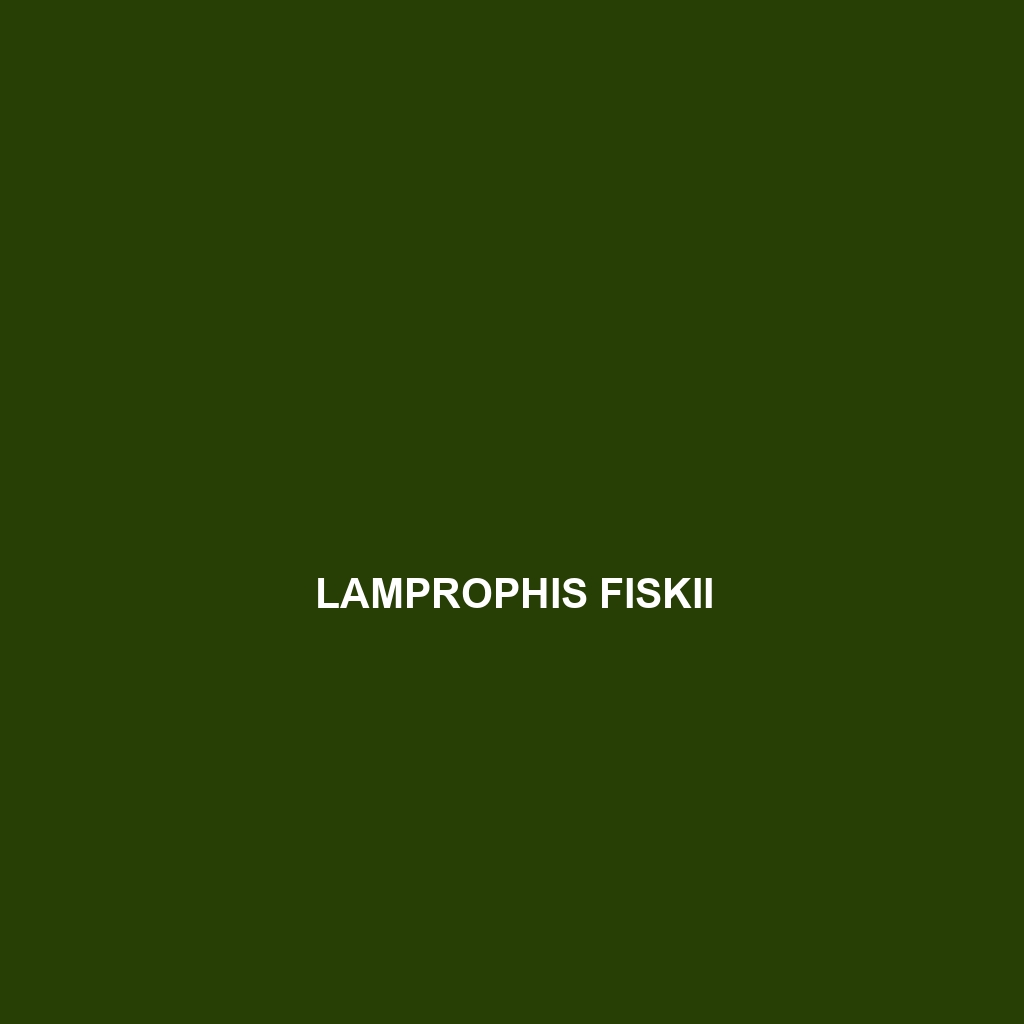 Lamprophis fiskii