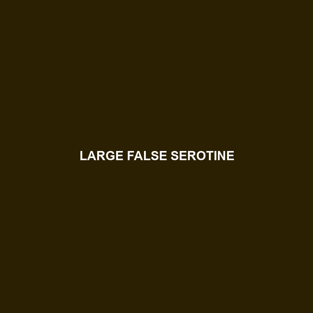 Large False Serotine