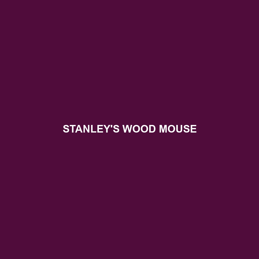 Stanley's Wood Mouse