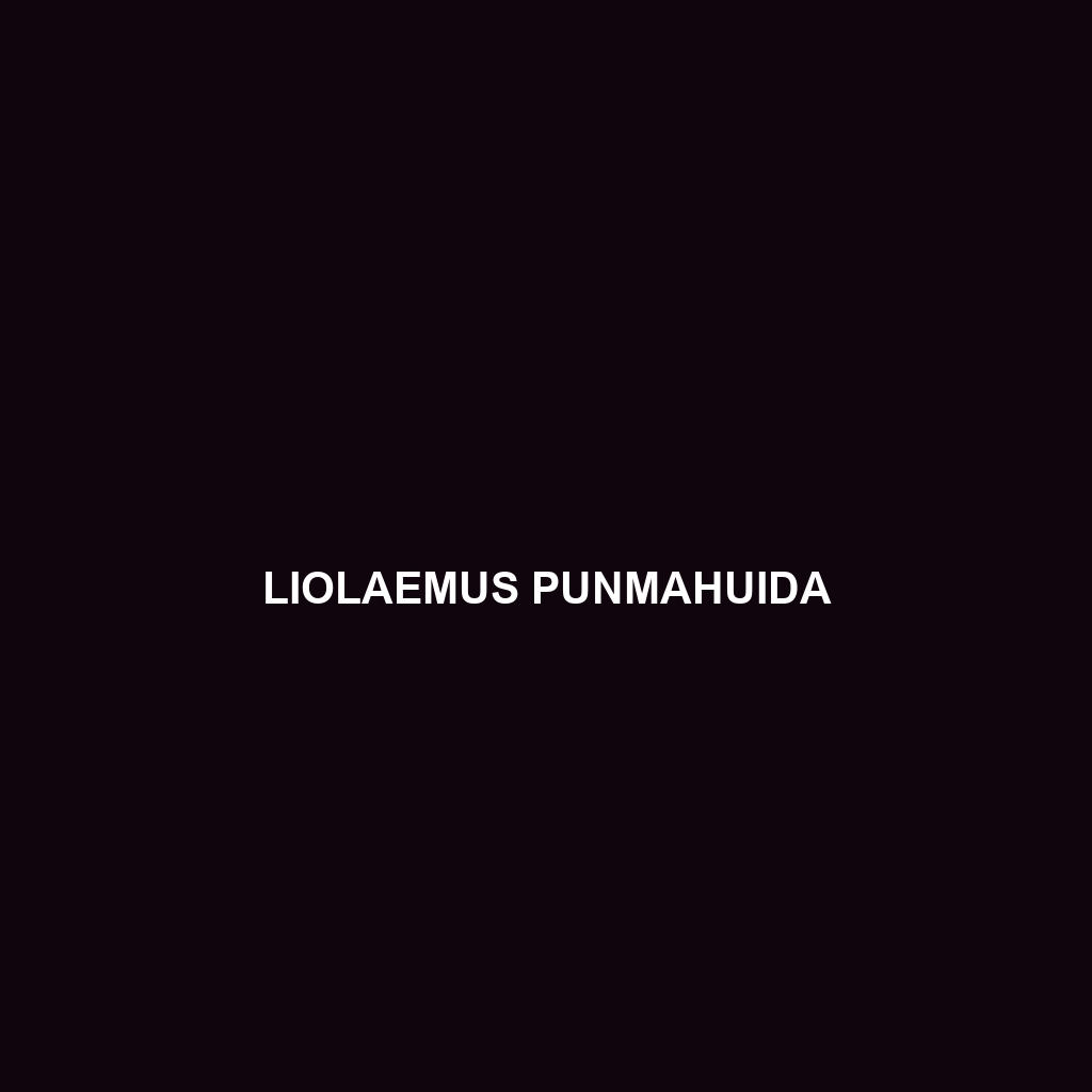 Liolaemus punmahuida