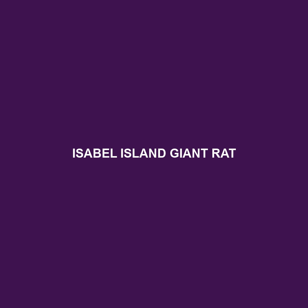 Isabel Island Giant Rat