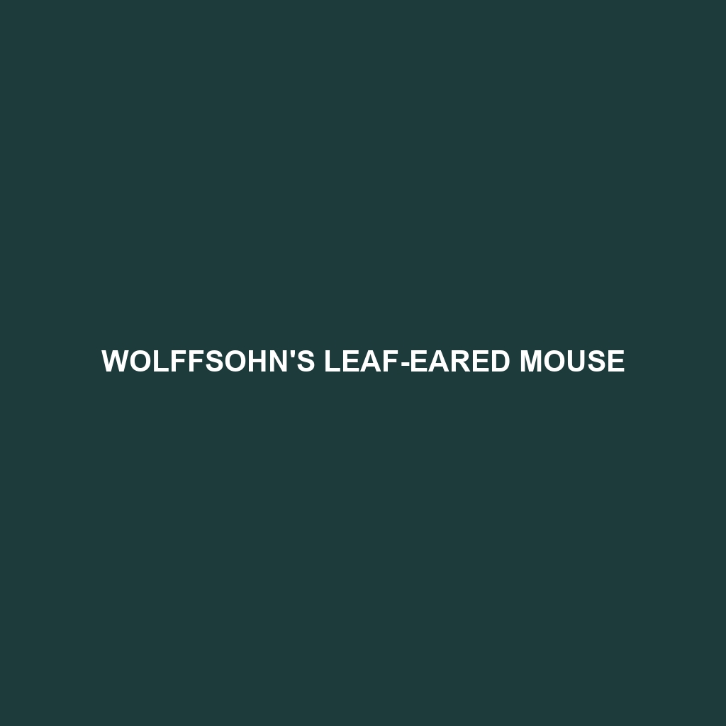 Wolffsohn's Leaf-eared Mouse