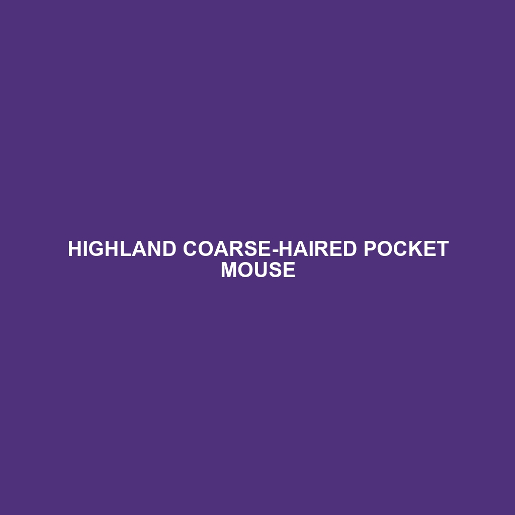 Highland Coarse-haired Pocket Mouse