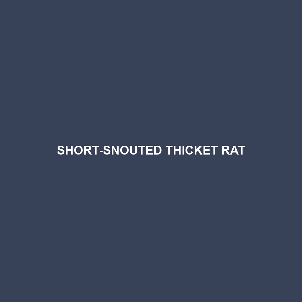 Bunting's Thicket Rat