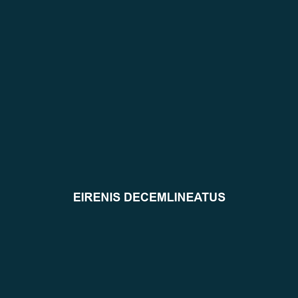 Eirenis decemlineatus