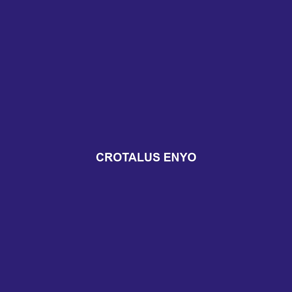 Crotalus enyo