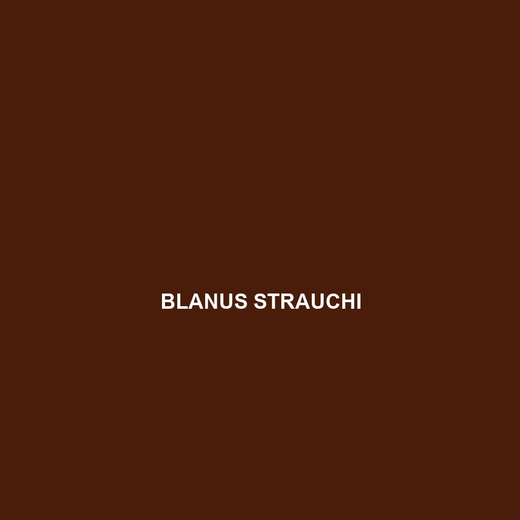 Blanus strauchi