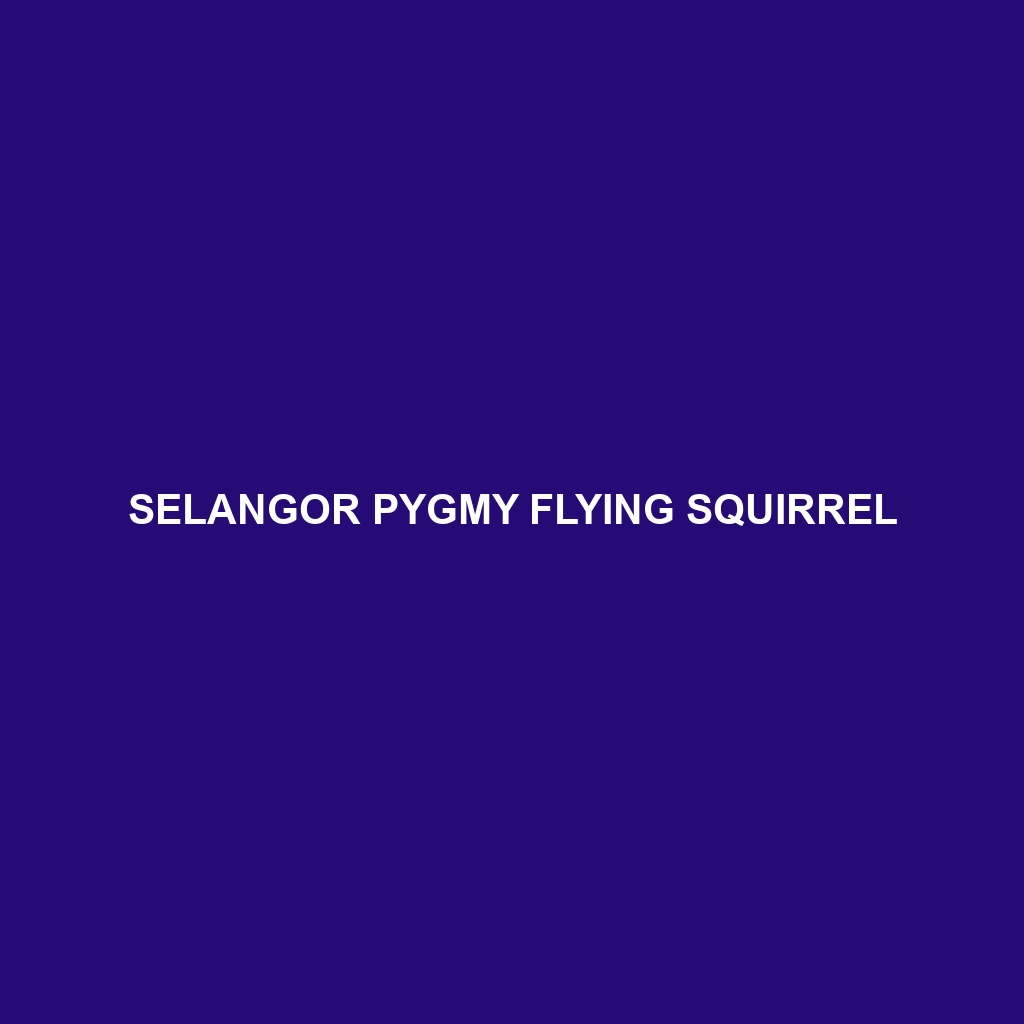 Selangor Pygmy Flying Squirrel