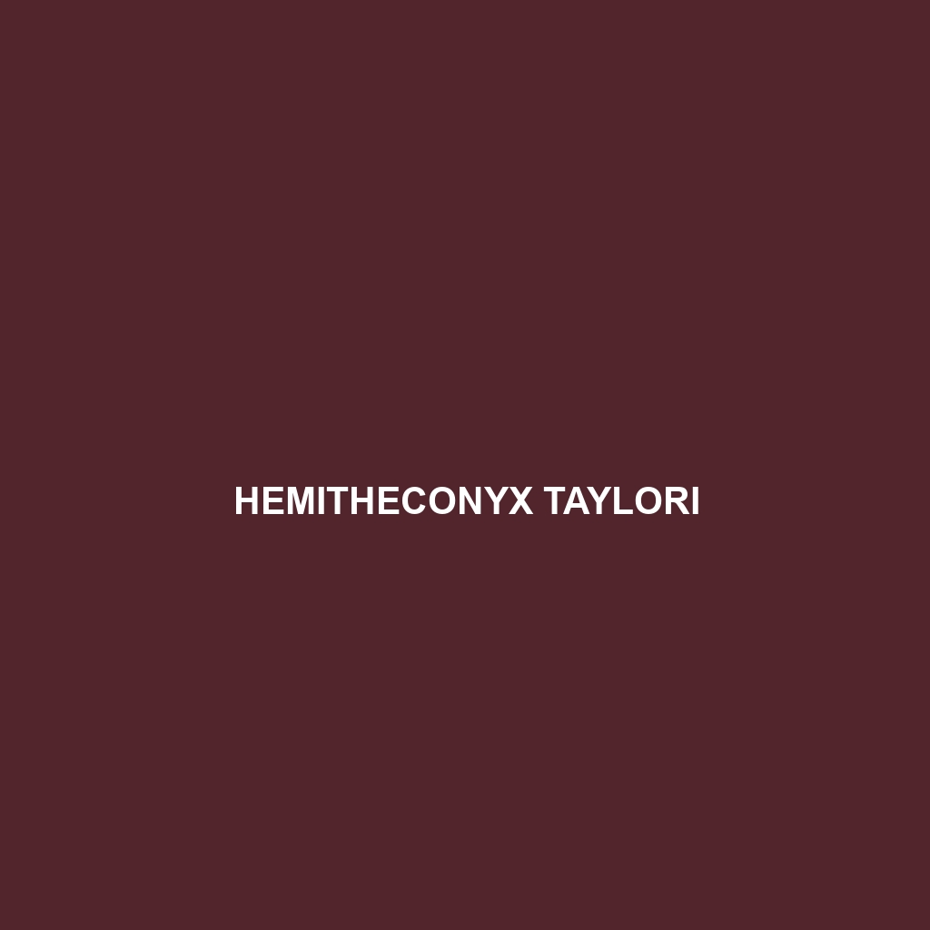 Hemitheconyx taylori