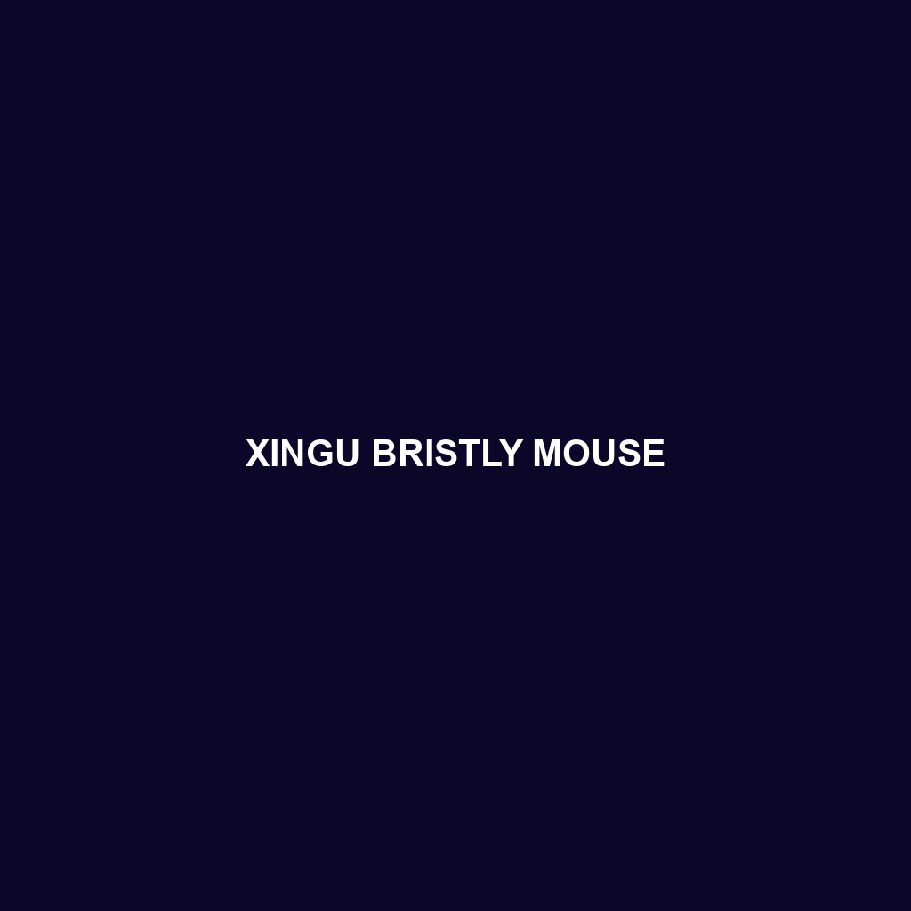 Xingu Bristly Mouse