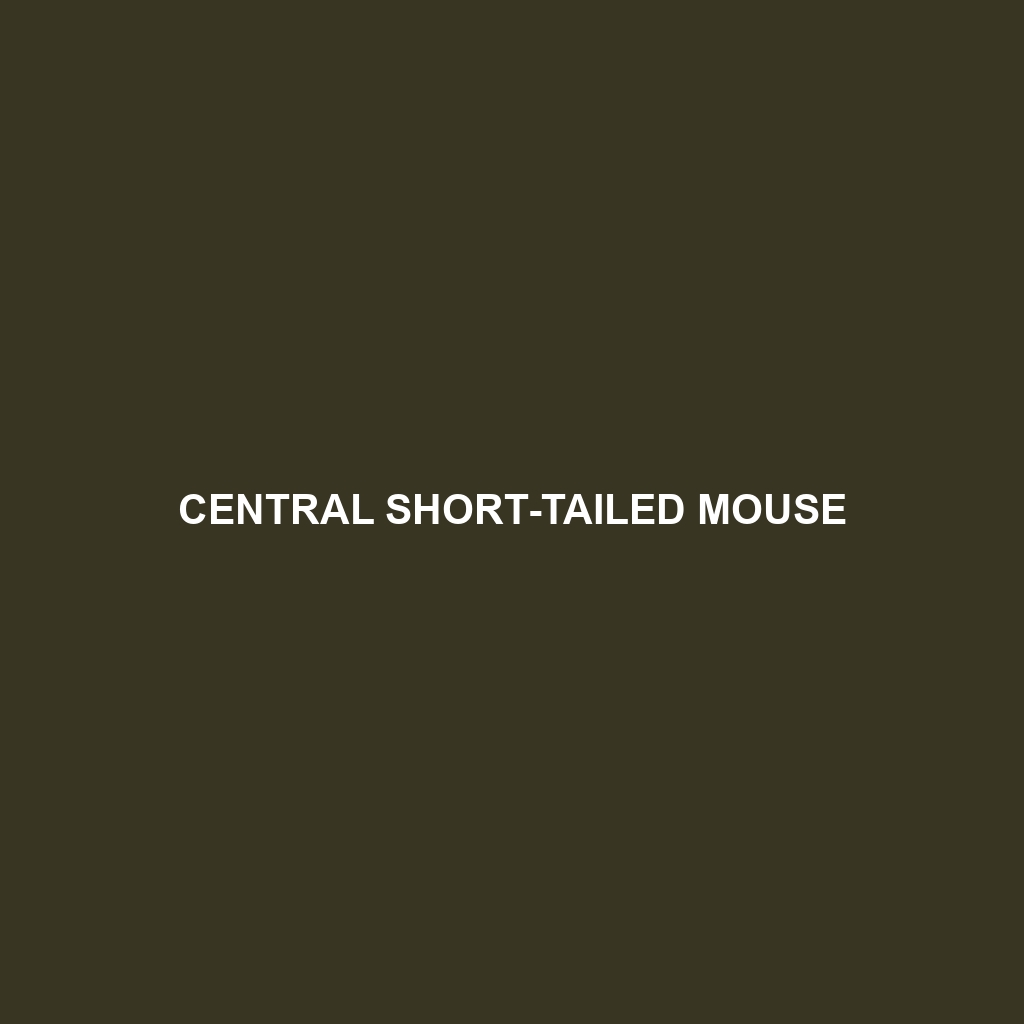 Central Short-tailed Mouse