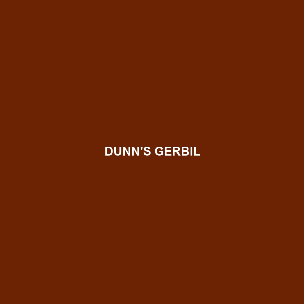 Dunn's Gerbil