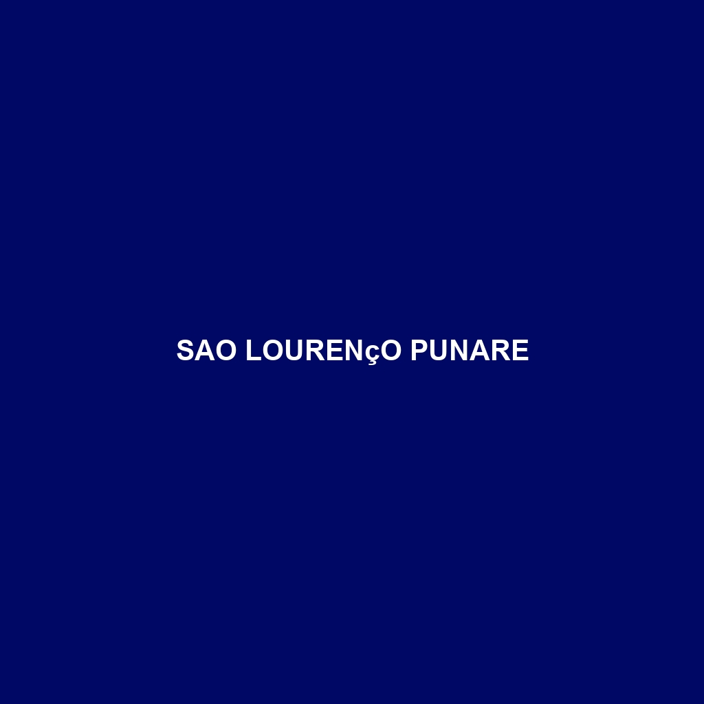 Sao Lourenço Punare