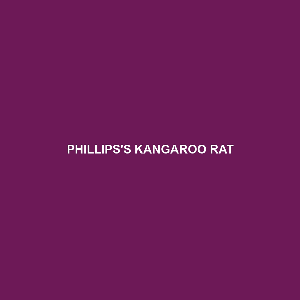 Phillips's Kangaroo Rat