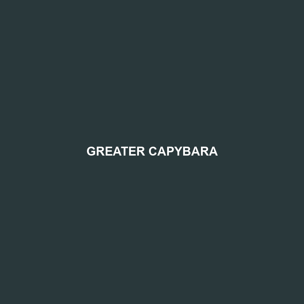 Greater Capybara